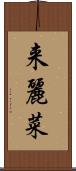 来麗菜 Scroll