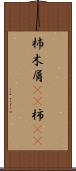 杮 Scroll