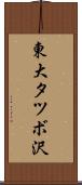 東大タツボ沢 Scroll