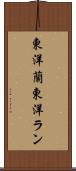 東洋蘭 Scroll