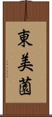 東美薗 Scroll