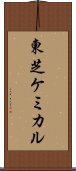 東芝ケミカル Scroll