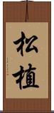 松植 Scroll