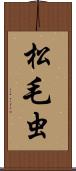 松毛虫 Scroll