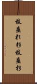 枝垂れ杉 Scroll