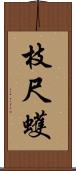 枝尺蠖 Scroll