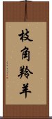 枝角羚羊 Scroll