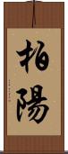 柏陽 Scroll