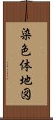 染色体地図 Scroll