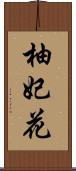 柚妃花 Scroll
