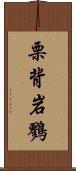栗背岩鷚 Scroll
