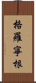 格羅寧根 Scroll