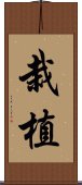 栽植 Scroll