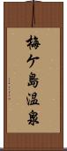 梅ケ島温泉 Scroll