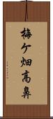 梅ケ畑高鼻 Scroll