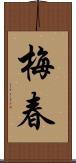 梅春 Scroll