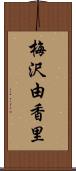 梅沢由香里 Scroll