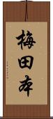 梅田本 Scroll