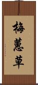 梅蕙草 Scroll