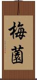 梅薗 Scroll