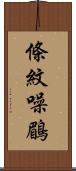 條紋噪鶥 Scroll