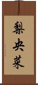 梨央菜 Scroll