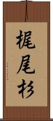 梶尾杉 Scroll