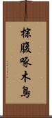 棕腹啄木鳥 Scroll