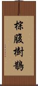 棕腹樹鵲 Scroll