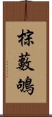 棕藪鴝 Scroll