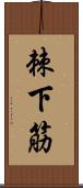 棘下筋 Scroll