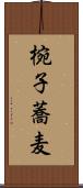 椀子蕎麦 Scroll