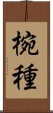 椀種 Scroll