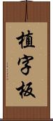 植字板 Scroll