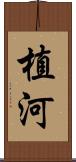 植河 Scroll