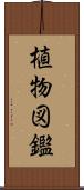 植物図鑑 Scroll
