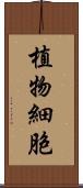 植物細胞 Scroll