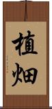 植畑 Scroll