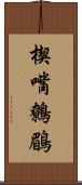 楔嘴鷯鶥 Scroll