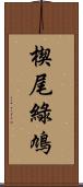 楔尾綠鳩 Scroll