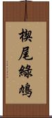 楔尾綠鳩 Scroll