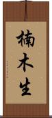 楠木生 Scroll
