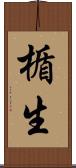 楯生 Scroll