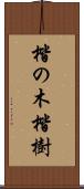 楷の木 Scroll
