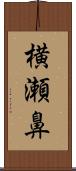 横瀬鼻 Scroll