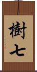 樹七 Scroll