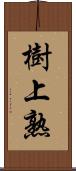 樹上熟 Scroll