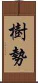 樹勢 Scroll