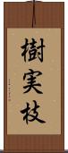 樹実枝 Scroll