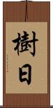 樹日 Scroll